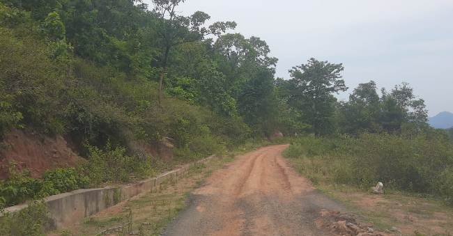 ଯନ୍ତ୍ରୀଙ୍କ ମନମୁଖୀ ଯୋଗୁଁ ରାସ୍ତା ପାଲଟିଛି ମରଣ ଯନ୍ତା