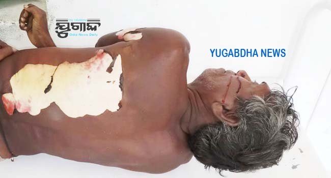 ବିଦ୍ୟୁତ୍ ତାର ସଂସ୍ପର୍ଶରେ ଆସି ଜଳିଗଲେ ଚାଷୀ