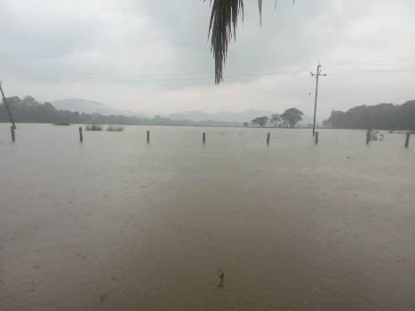 ଶେରଗଡ଼ ତିନି ଛକ ନିକଟରେ ବର୍ଷା ପାଣି ୬ଫୁଟ ଜମିଲା,୧୦୦ଚାଷୀ ଙ୍କ ଚାଷ କାର୍ଯ୍ୟ ବାଧାପ୍ରାପ୍ତ