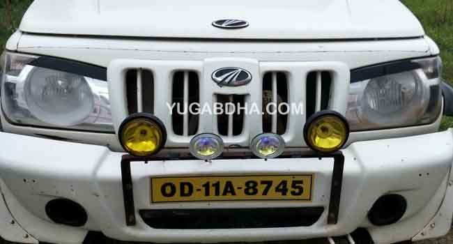 ରାଇରଙ୍ଗପୁର ଗ୍ରାମାଞ୍ଚଳ ପୋଲିସ ଦ୍ବାରା ଗୋରୁ ବୋଝେଇ ପିକ୍ ଅପ୍ ଭେନ ଜବତ,ଡ୍ରାଇଭର ଗିରଫ