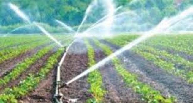 ପ୍ରଧାନମନ୍ତ୍ରୀ କୃଷି ସିଞ୍ଚନ ଯୋଜନା “ପ୍ରତି ବୁନ୍ଦା, ଅଧିକ ଶସ୍ୟ”