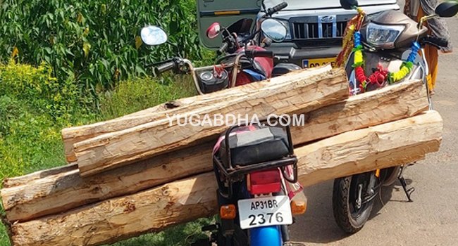 ମୂଲ୍ୟବାନ ଶାଗୁଆନ୍ କାଠ ଜବତ ଜଣେ ଅଟକ