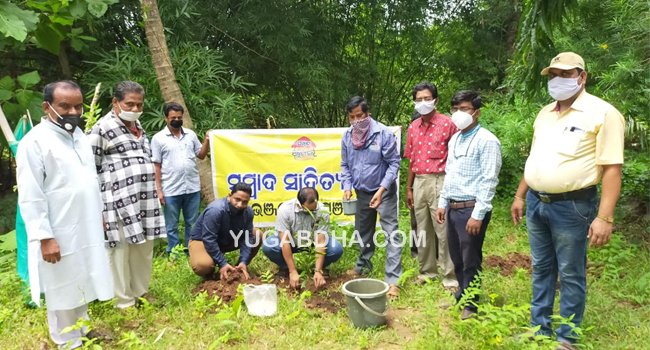 ସମ୍ବାଦ ସାହିତ୍ୟ ଘର ତରଫରୁ ବୃକ୍ଷରୋପଣ