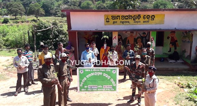 ମୋହନା ବନବିଭାଗ ପକ୍ଷରୁ ୭୧ତମ ବନ ମହୋତ୍ସବ ପାଳିତ