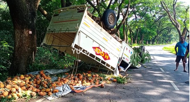ତପ୍ତପାଣି ଘାଟିରେ ଓଲଟିଲା ସପୁରୀ ବୋଝେଇ ପିକଅପ
