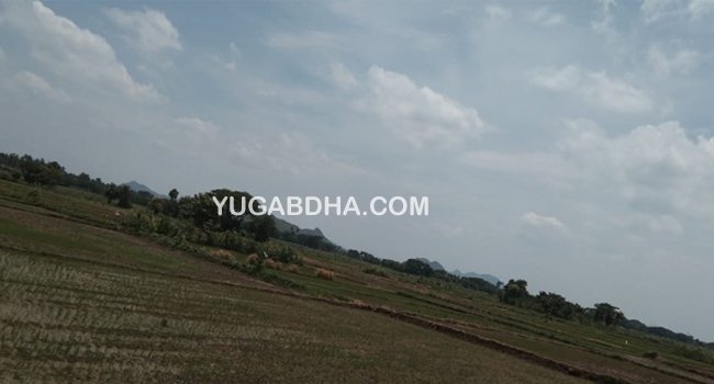 ଦଇବର ବିଚିତ୍ର ଲୀଳା କେବେ କରୋନା ତ କେବେ ସ୍ୱଳ୍ପ ବର୍ଷା ଚାଷୀ ମୁଣ୍ଡରେ ଚଡକ!