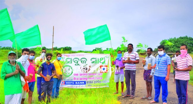 ଇଞ୍ଚୋଳ ବିକାଶ ମଞ୍ଚ ପକ୍ଷରୁ ବୃକ୍ଷ ରୋପଣ