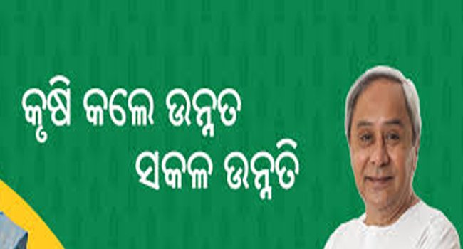 ବନ୍ତ ବ୍ଲକରେ ୪୨୯ ଅଯୋଗ୍ୟ ହିତାଧିକାରୀ ଫେରାଇବେ କାଳିଆ ଟଙ୍କା