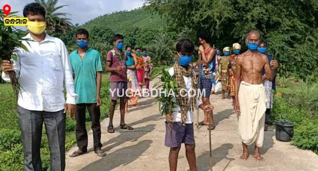 ଟିଟ୍ରାପଙ୍ଗାରେ ବୃକ୍ଷରୋପଣ କାର୍ଯ୍ୟକ୍ରମ ଅନୁଷ୍ଠିତ