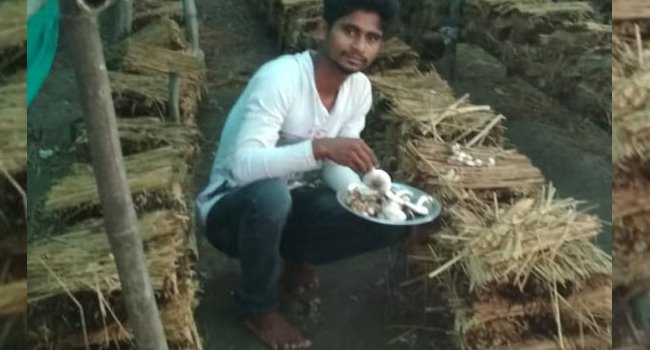 ଲକ୍ ଡାଉନ ରେ ଛତୁଚାଷ କରୁଛନ୍ତି ଛାତ୍ର ସୀମାଞ୍ଚଳ
