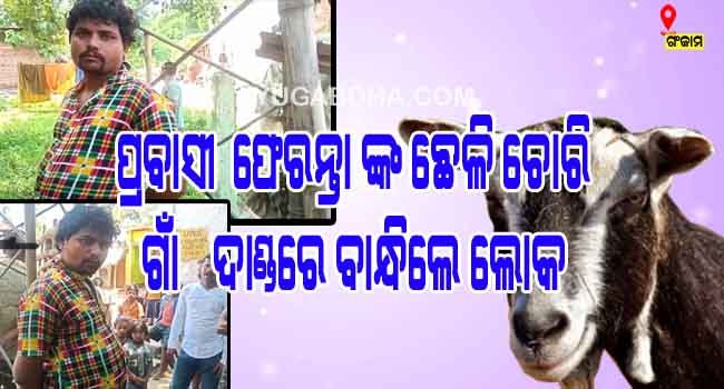 ପ୍ରବାସୀ ଫେରନ୍ତା ଙ୍କ ଛେଳି ଚୋରି,ଗାଁ ଦାଣ୍ଡରେ ବାନ୍ଧିଲେ ଲୋକେ
