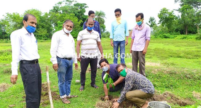 ଧରଣୀ ଧର ଉଚ୍ଚ ବିଦ୍ୟାଳୟରେ ୭୧ ତମ ବନ ମହୋତ୍ସବ ପାଳିତ