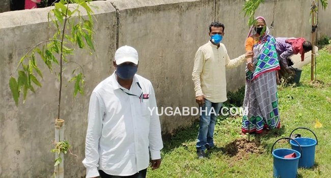 କ୍ୱାରାଣ୍ଟାଇନ୍ ଅନ୍ତେବାସୀଙ୍କ ଦ୍ୱାରା ବୃକ୍ଷରୋପଣ