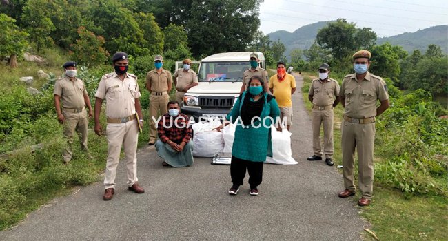 ୧୭୭ କେଜି ଗଞ୍ଜେଇ ସହ ଜଣେ ଗିରଫ