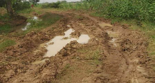 ତଳହାସିନପୁର-ବୃନ୍ଦାବନପୁର ରାସ୍ତା ଅବସ୍ଥା ଶୋଚନୀୟ