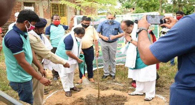 ରୋଟାରୀ କ୍ଲବ ତରଫରୁ ୭୧ତମ ବନମହୋତ୍ସବ