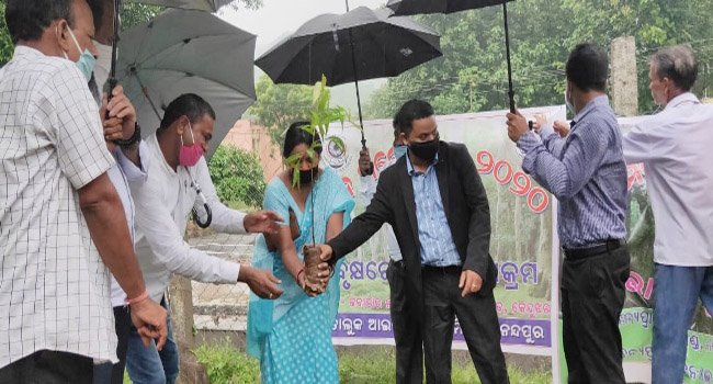 ହଦଗଡ ଜବାହାର ନବୋଦୟ ବିଦ୍ୟାଳୟରେ ବନମହୋତ୍ସବ