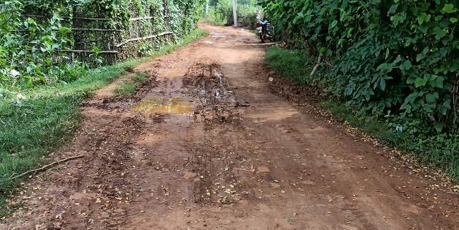 ରାସ୍ତା ସମସ୍ୟାରେ ଘାଣ୍ଟି ହେଉଛନ୍ତି ମୁଦୁଲିପଦା ଓ ବଣିଆରୀ ଗ୍ରାମବାସୀ