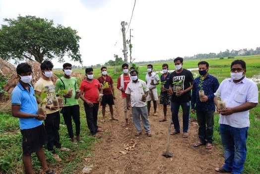 ବନମହୋତ୍ସବ ଉପଲକ୍ଷେ ବୃକ୍ଷରୋପଣ ଅନୁଷ୍ଠିତ