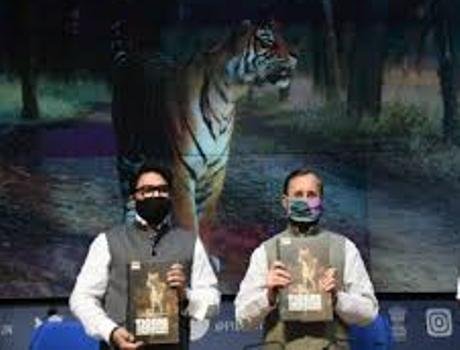 ପୃଥିବୀର ୭୦ ପ୍ରତିଶତ ବାଘ ଭାରତରେ