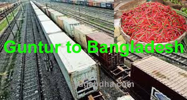 ଗୁଣ୍ଟୁରରୁ ଶୁଖିଲା ଲଙ୍କା ଗଲା ବାଂଲାଦେଶ