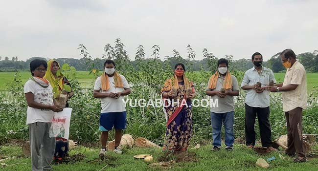 ଭରତପୁର ପଂଚାୟତରେ ବୃକ୍ଷରୋପଣ ଅନୁଷ୍ଠିତ