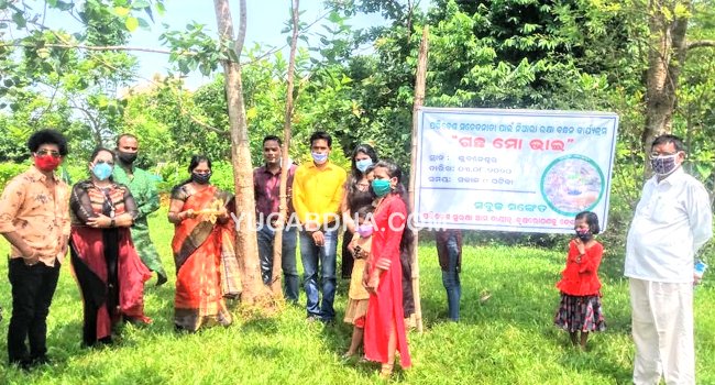 ନିଆରା ରକ୍ଷାବନ୍ଧନ କାର୍ଯ୍ୟକ୍ରମ ‘ଗଛ ମୋ ଭାଇ’