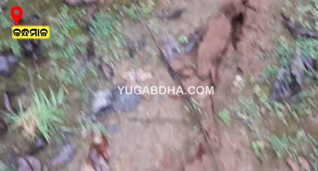 ବଜ୍ରପାତ ଚଡକ ଭୂମି ଫାଟିବା ସହ ୩ଟି ବଳଦର ମୃତ୍ୟୁ