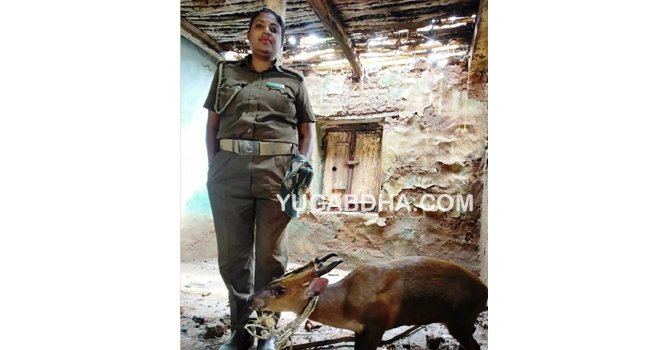 ଗ୍ରାମବାସୀଙ୍କ ଦ୍ୱାରା ଉଦ୍ଧାର ହୋଇଥିବା କୁଟୁରା ବନ ବିଭାଗକୁ ହସ୍ତାନ୍ତର