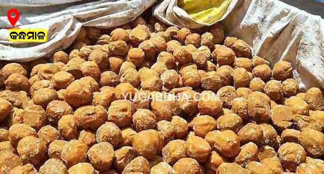 କରୋନା କାହାର ପୁଷମାସ ତ 'କାହାର ସର୍ବନାଶ ମହୁଲ ଓ ଗୁଡ଼ର ଚାହିଦା ବୃଦ୍ଧି