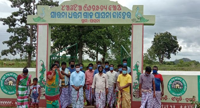 ପାସନା ଜାହିରା ପୀଠରେ ବୃକ୍ଷ ରୋପଣ