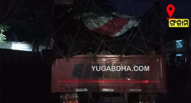 ୩୦୦ କେଜି ଅର୍ଗୁଣା ଛାଲି ସହ ମିନି ଟ୍ରକ ଅଟକ