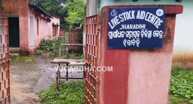 ଅବହେଳିତ ଅବସ୍ଥାରେ ପ୍ରାଣି ଚିକିତ୍ସା କେନ୍ଦ୍ର