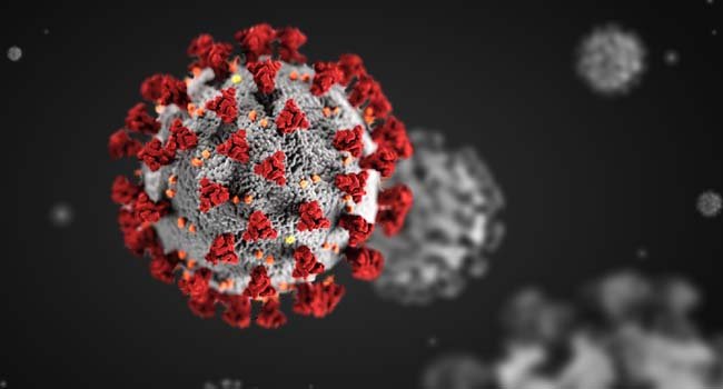 ଆରୋଗ୍ୟ ହାର ପାଖାପାଖି ୭୫ ପ୍ରତିଶତ