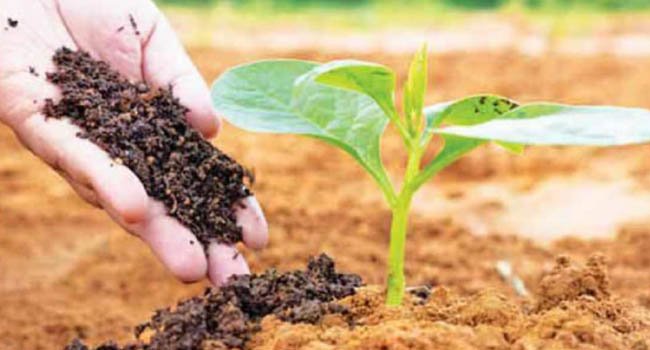 ଭାରତରେ ବିଶ୍ୱର ସର୍ବାଧିକ ଜୈବିକ ଚାଷୀ