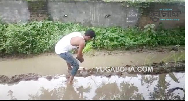 ଛେଣ୍ଡିଆ ପଞ୍ଚାୟତ କାର୍ଯ୍ୟଲୟ ରାସ୍ତା ଅବସ୍ଥା ଶୋଚନୀୟ