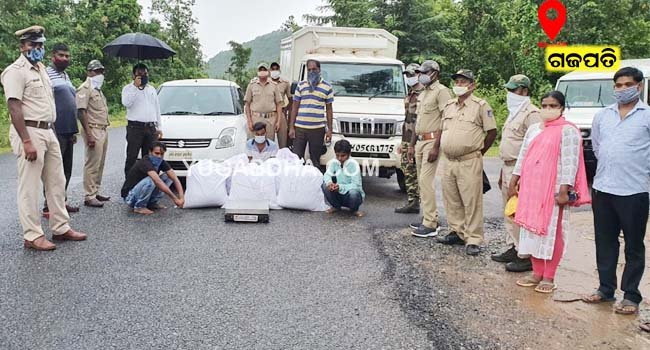 ୧୦୪କେଜି ଗଞ୍ଜେଇ ଦୁଇଗାଡ଼ି ସହ୪ଗିରଫ