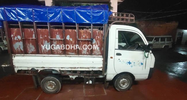 ୫୧୧ କେଜି ଗଞ୍ଜେଇ ସହ ୨ ଗିରଫ