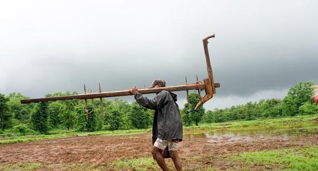 ଦେଶରେ କୃଷିଜାତ ସାମଗ୍ରୀର ରପ୍ତାନୀରେ ବୃଦ୍ଧି