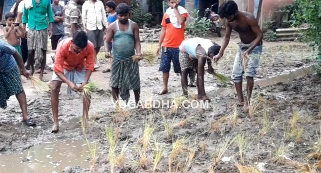 ବର୍ଷା ଦିନେ ଗାଁ ରାସ୍ତା ଅବସ୍ଥା ବେହାଲ