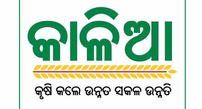 ଯୋଗ୍ୟ ଅଯୋଗ୍ୟ ଖେଳ