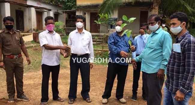 ରୁଷିକୁଲ୍ୟା ରୟତ ମହାସଭା ପକ୍ଷରୁ ବୃକ୍ଷରୋପଣ କାର୍ଯ୍ୟକ୍ରମ ଅନୁଷ୍ଠିତ