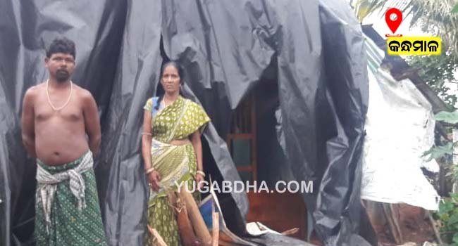 କରୋନାଠୁ ଅଧିକ ଦାଉ ସାଧିଲା ଲଘୁଚାପ ବର୍ଷା: କୃଷ୍ଣଚନ୍ଦ୍ରଙ୍କ ଗୁହାରି ଶୁଣିବ କିଏ ?