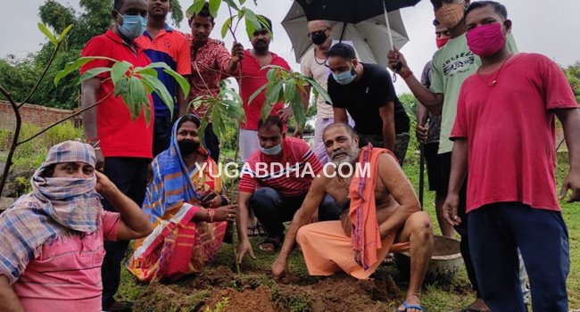 ହନୁମାନଜୀଉଙ୍କ ମନ୍ଦିରରେ ବୃକ୍ଷରୋପଣ