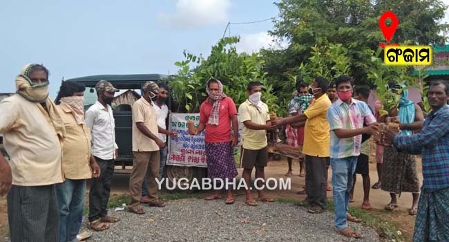 ଝାରେଡ଼ିରେ ଭ୍ରାମ୍ୟମାଣ ଚାରା ବିତରଣ