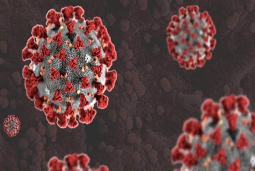 କନ୍ଧମାଳରେ ଶନିବାର ଆଉ ୯୮ଜଣ କରୋନା ପଜିଟିଭ ଚିହ୍ନଟ : ମୋଟ ସଂକ୍ରମିତ ୧୨୯୯