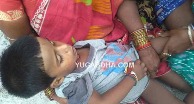 ବିଷାକ୍ତ ସାପ କାମୁଡ଼ାରେ ଶିଶୁ ମୃତ