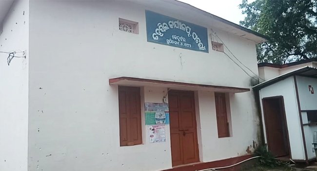 ଘଟଗାଁ ତହସିଲ୍‌ରେ ବାଘ ନଥିବା ସମୟରେ ମିରିଗ କରୁଛନ୍ତି ନାଟ