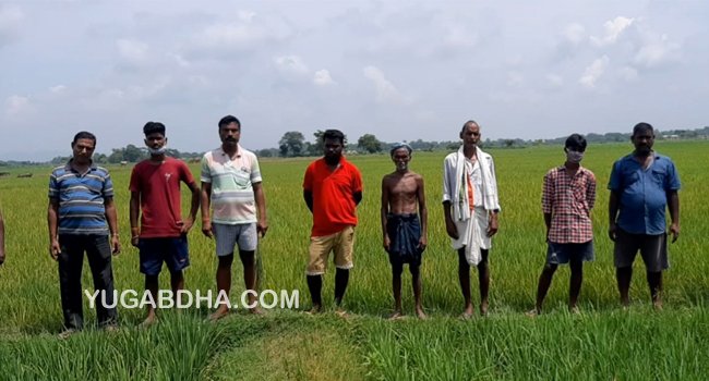 ଚିନ୍ତାରେ ଚାଷୀକୁଳ