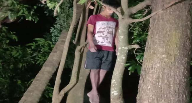 ଜାମୁକୋଳି ବଗିଚାରୁ ଛାତ୍ରଙ୍କ ମୃତ ଦେହ ଉଦ୍ଧାର